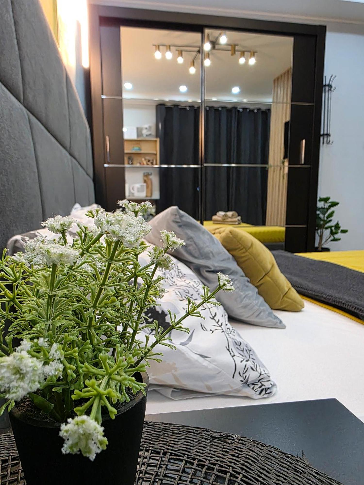 Vanimi Lux Apartmani Kikinda Exterior foto
